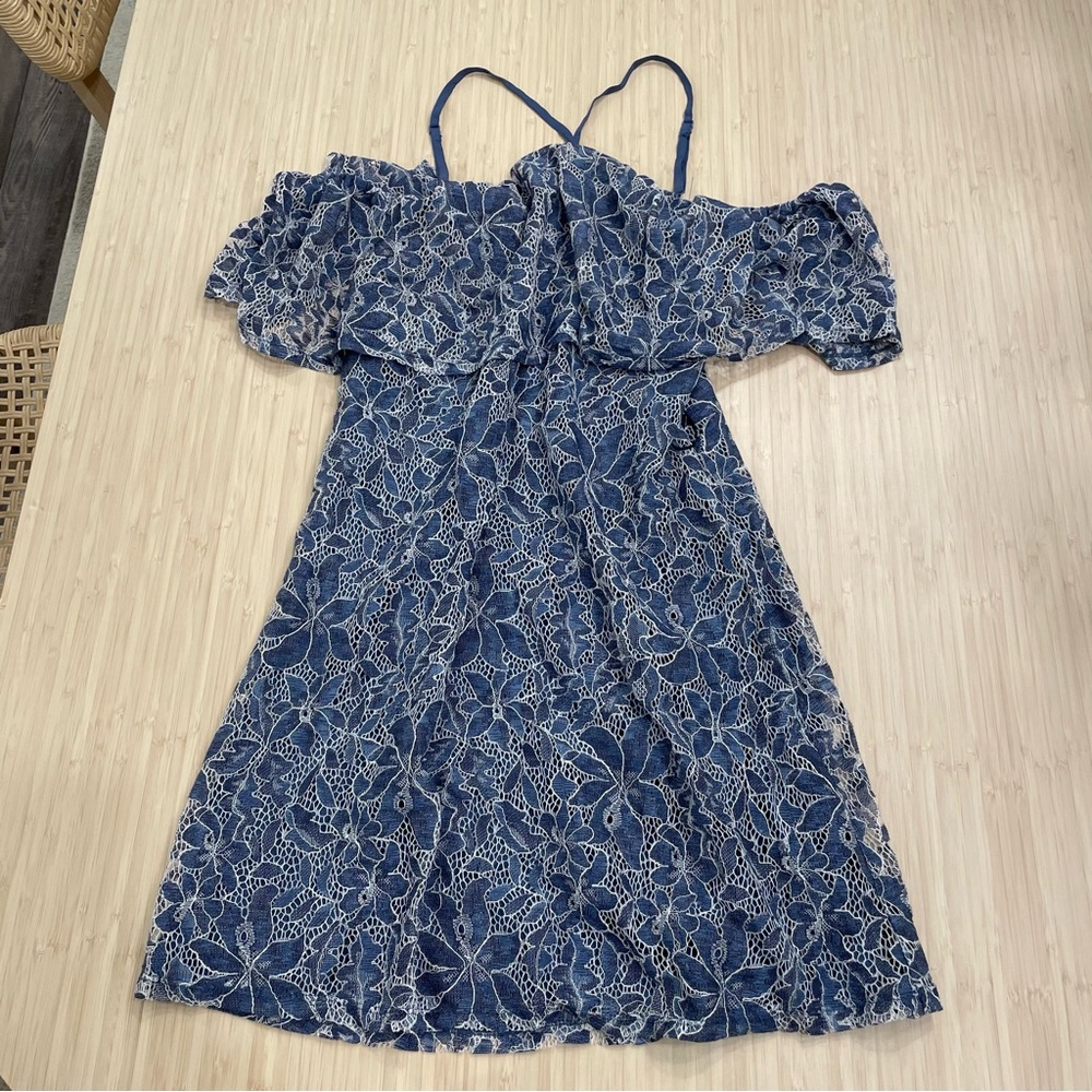 Lush Floral Lace Dress in Blue